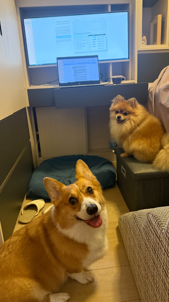 書房陪伴工作的毛孩