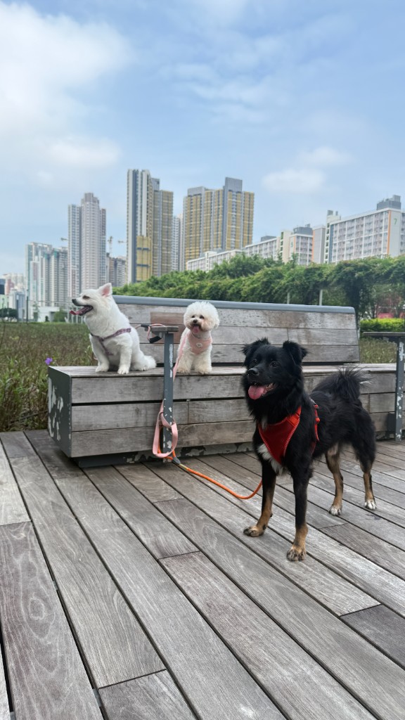 戶外公園散步的美好回憶